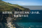 独家揭秘：国产探花海角八卦内幕，新晋海外探花