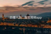 劲爆八卦：探花视频app