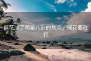 探花成了明星八卦的焦点,探花要改行 探花成了明星八卦的焦点,探花要改行