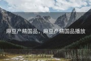 麻豆产精国品，麻豆产精国品播放