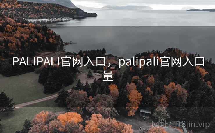 PALIPALI官网入口，palipali官网入口量
