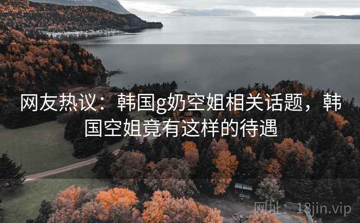 网友热议：韩国g奶空姐相关话题，韩国空姐竟有这样的待遇