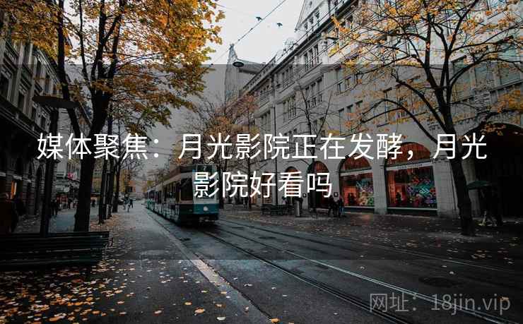媒体聚焦：月光影院正在发酵，月光影院好看吗